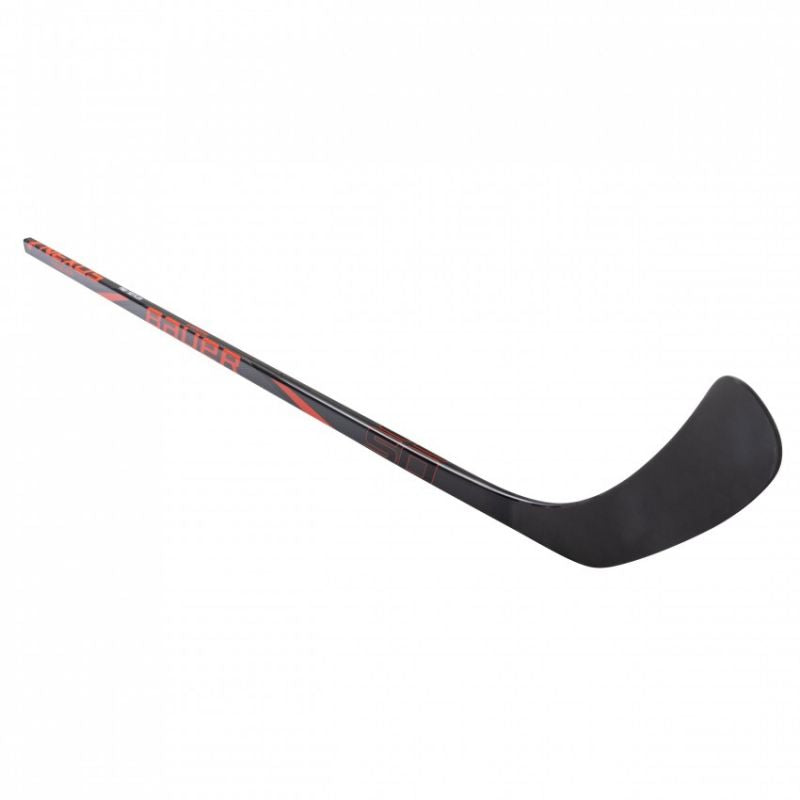 Bauer Nexus Performance &#39;24 Composite Stick 1063764 Accessories Bauer