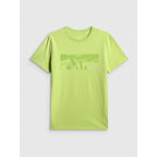 Men's reagular printed T-shirt 4F 4FWSS26TTSHM3035-42S 4f