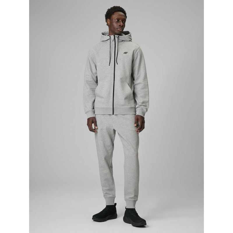 Men's regular hooded sweatshirt 4F 4FRMM00TSWSM3058-27M 4f
