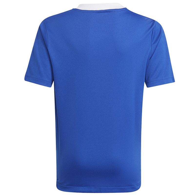 T-shirt adidas Tiro 21 Tr Jsy Y Jr GM7577 Clothing/Football Adidas