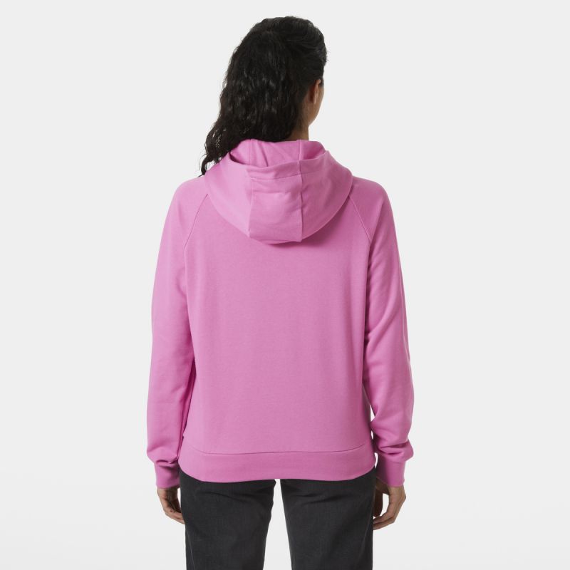 Helly Hansen Core Graphic Hoodie W 54239 089 Clothing/Outdoor/Helly Hansen Your Sports Performance