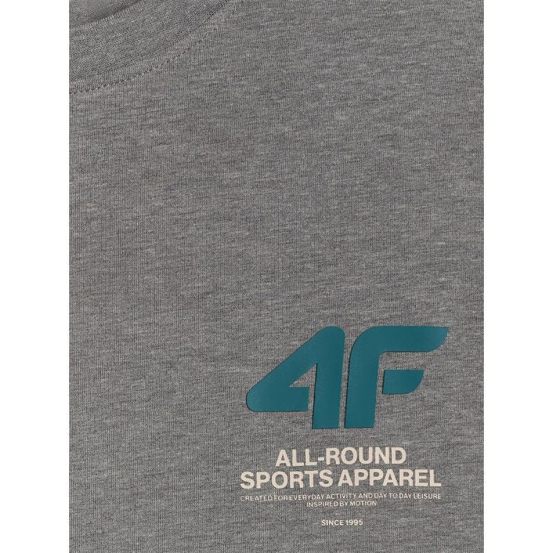 Men's regular plain T-shirt 4F 4FRSS26TTSHM3990-24M 4f