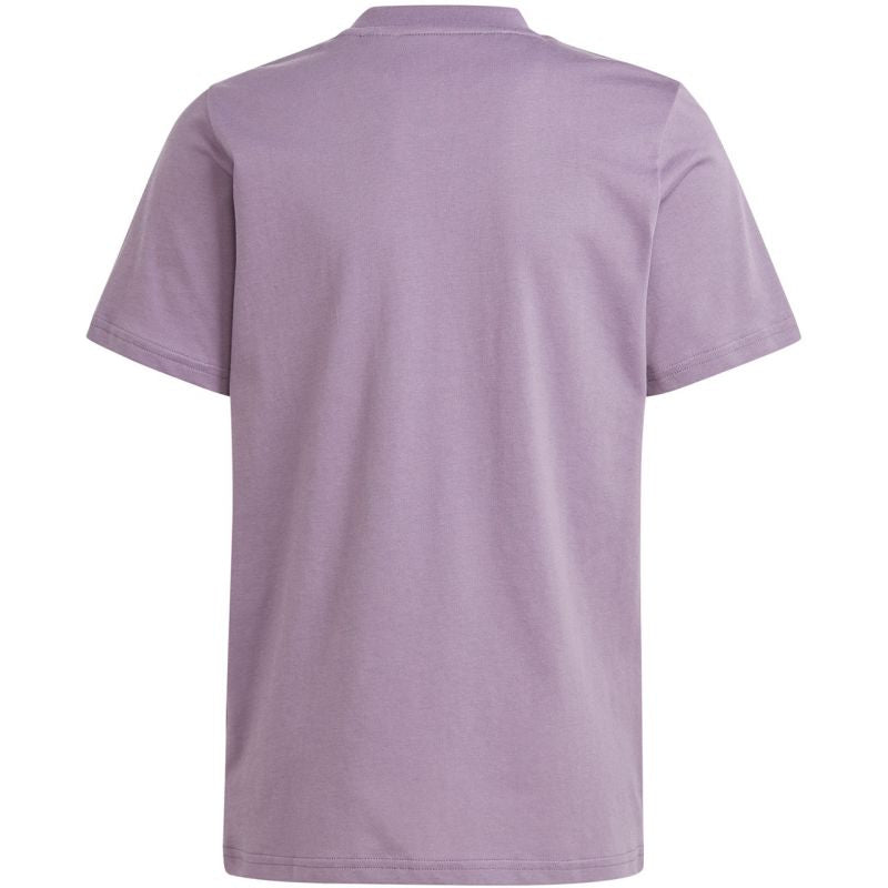 Adidas Essentials Big Logo Cotton Tee Jr IJ7061 Clothing/Training Adidas