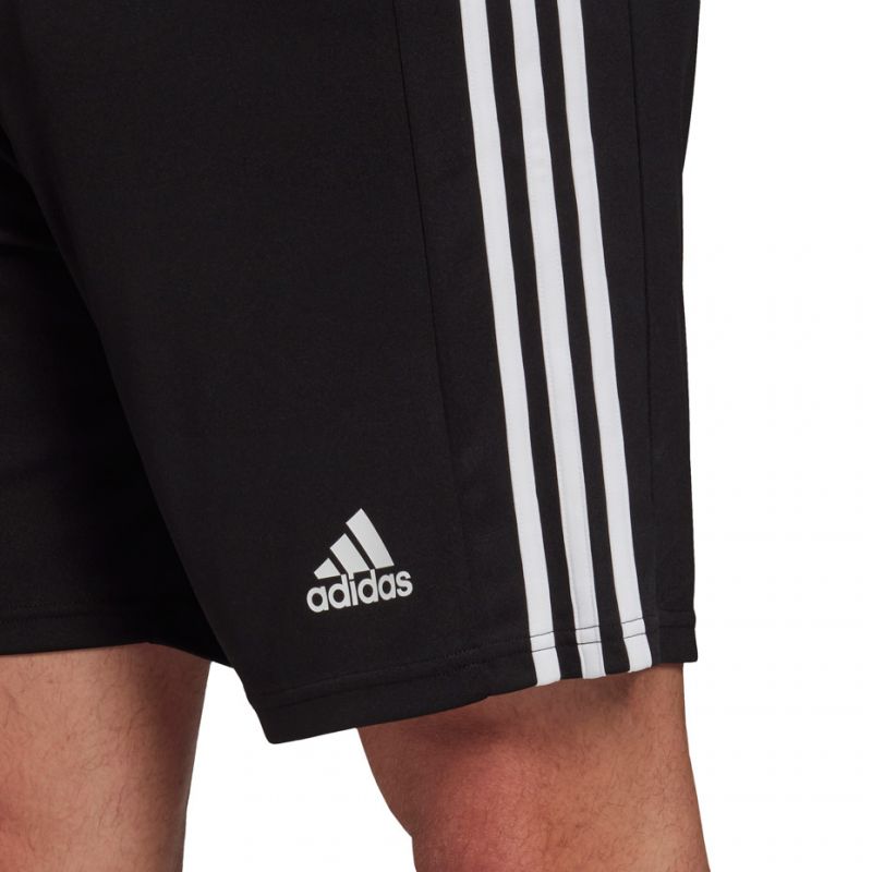 Adidas Squadra 21 Short M GN5776 Clothing/Football Adidas