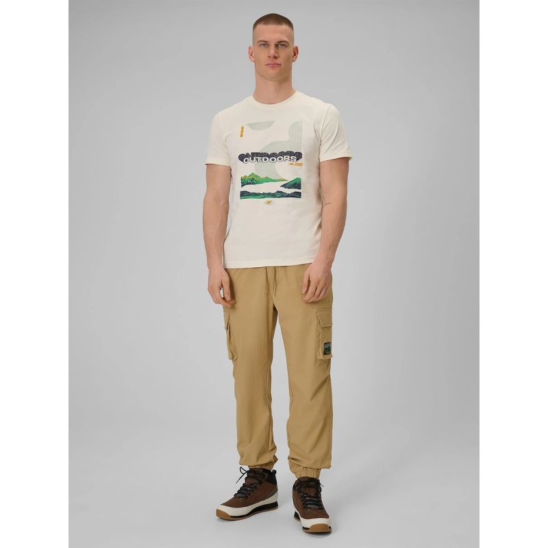 Men's regular printed T-shirt 4F 4FRAW25TTSHM3378-11S 4f