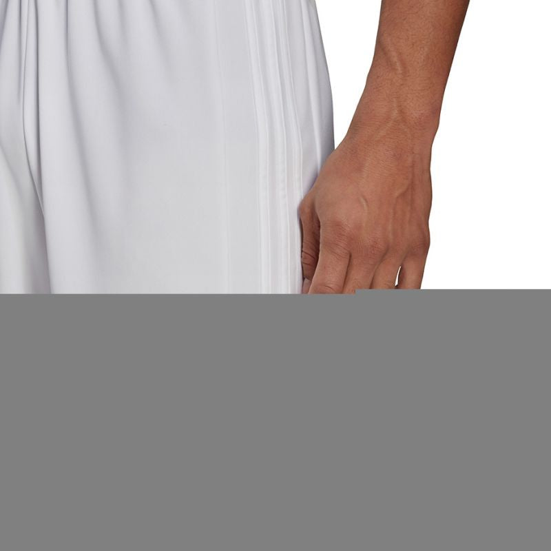 Adidas Squadra 21 Short M GN5774 Clothing/Football Adidas