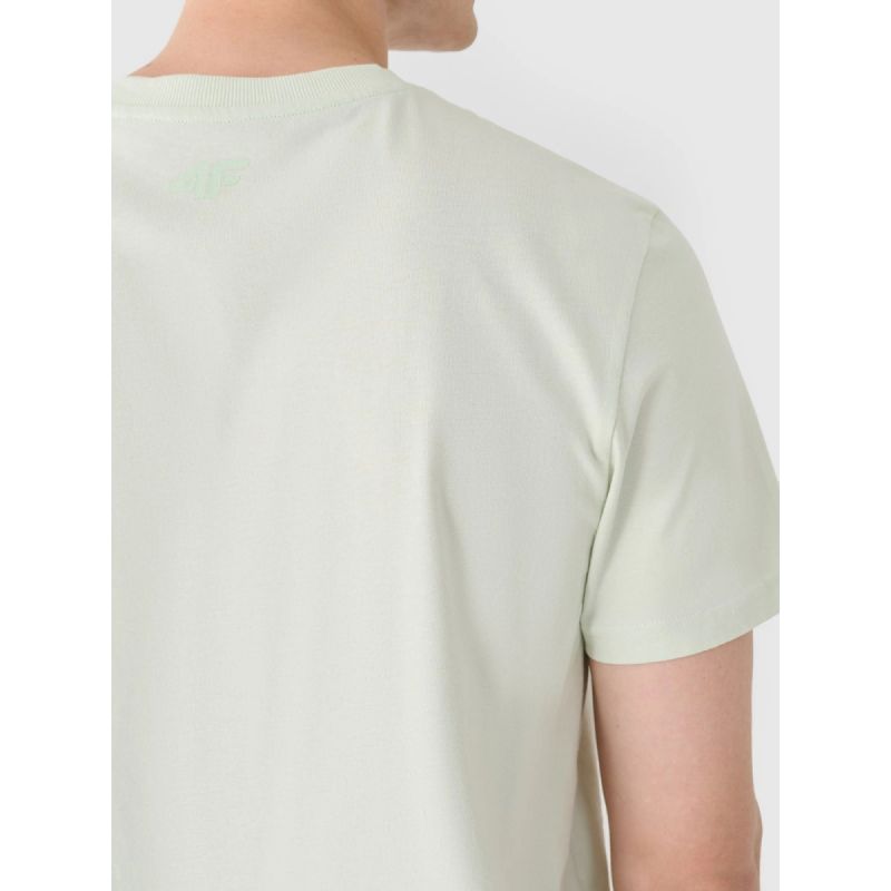 Men's regular printed T-shirt 4F 4FRAW24TTSHM2603-47S 4f