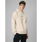 Men's regular hooded sweatshirt 4F 4FRSS26TSWSM2894-12S 4f