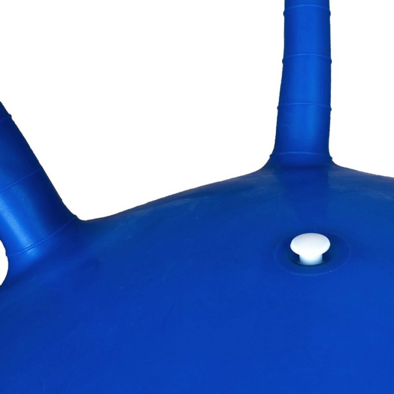 Jumping ball Profit DK 2103 65 cm Accessories/Training equipment Your Sports Performance