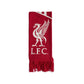 Adidas Liverpool LFC Scarf JZ5883 In preparation Adidas