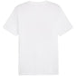 Puma Graphics Summer Sports Tee II M 627909 02 Clothing/Lifestyle/T-shirts Puma