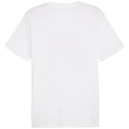 Puma Graphics Summer Sports Tee II M 627909 02 Clothing/Lifestyle/T-shirts Puma