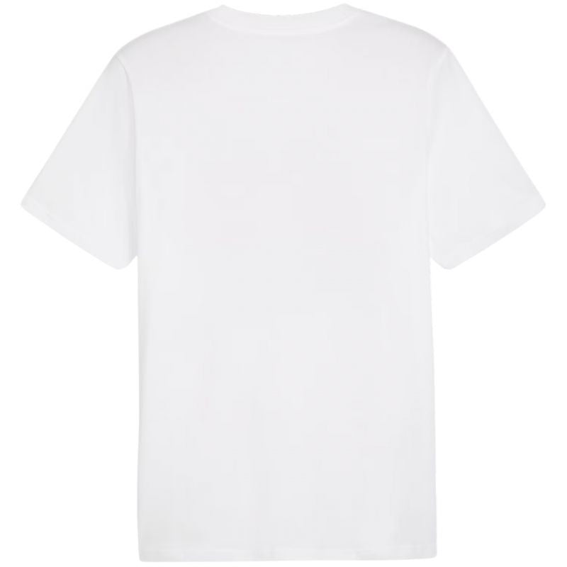 Puma Graphics Summer Sports Tee II M 627909 02 Clothing/Lifestyle/T-shirts Puma