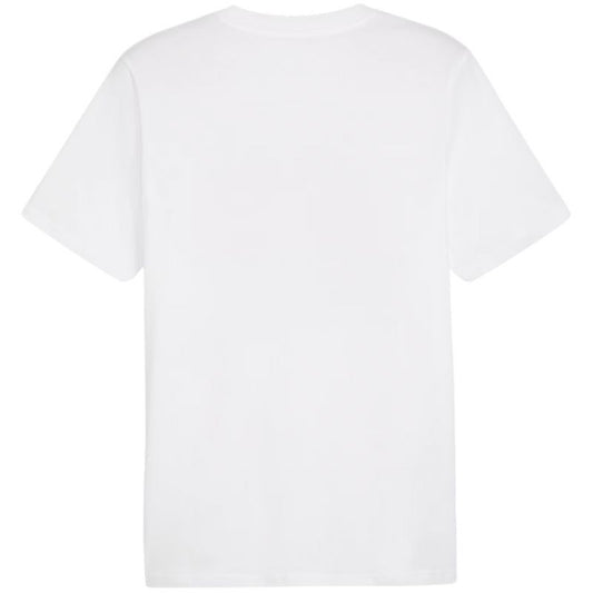 Puma Graphics Summer Sports Tee II M 627909 02 Clothing/Lifestyle/T-shirts Puma