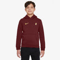 Nike Liverpool FC NSW Club PO Hoodie Jr FZ4149-619 Clothing/Lifestyle Nike