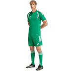Men's adidas Tiro 26 League Shorts Green KA8774
