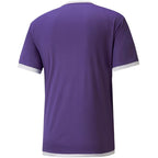 Puma teamLIGA Jersey M 704917 10 Clothing/Football Your Sports Performance