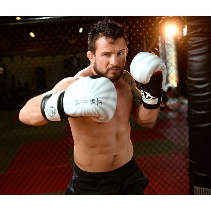 10oz Boxing Gloves - Japan - Valor Series rękawice treningowe Your Sports Performance