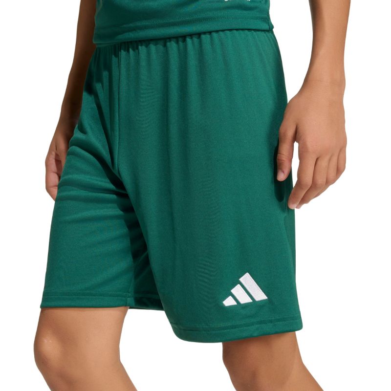 adidas Entrada 26 Kids' Shorts Green KE9831