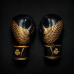 8oz Boxing Gloves - Hawk - Origin Series rękawice treningowe Your Sports Performance