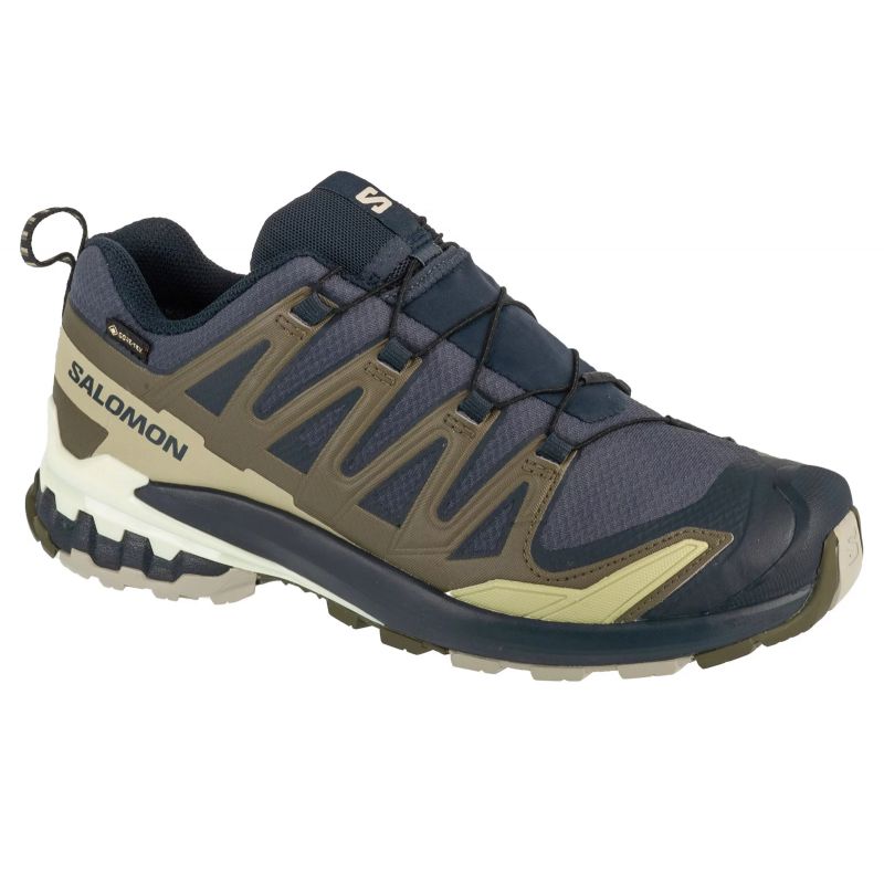 Salomon XA Pro 3D v9 GTX M L47823000 Running Shoes Footwear/Running/Men Your Sports Performance