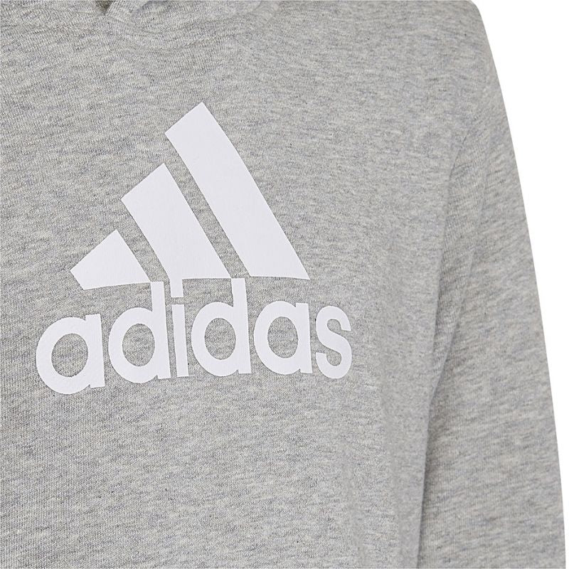 Adidas Colourblock Hoodie Jr HN8563 sweatshirt Clothing/Lifestyle Adidas