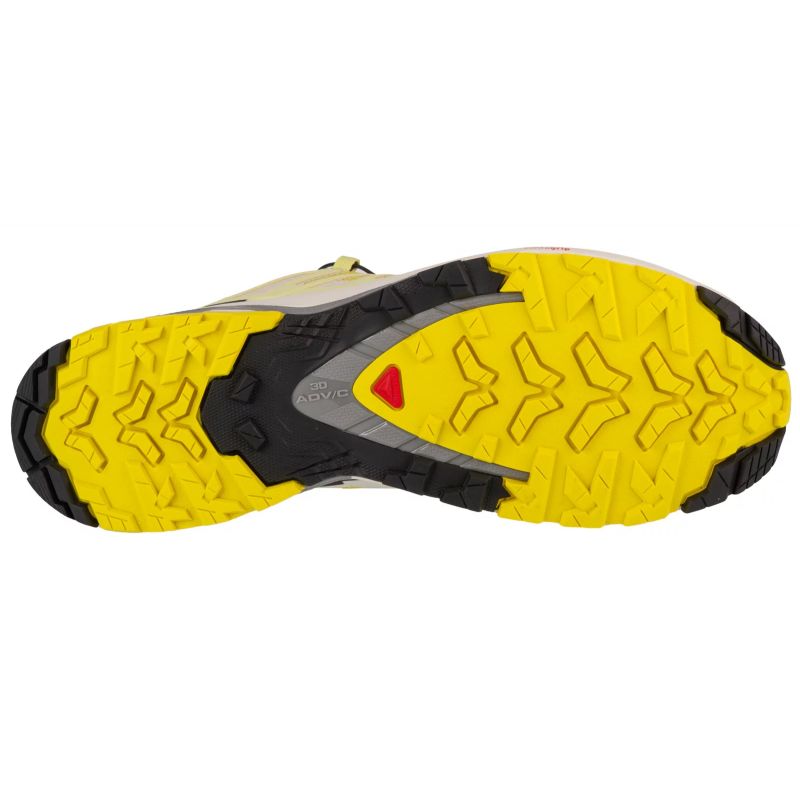 Salomon XA Pro 3D v9 M 474631 shoes Footwear/Running/Men Your Sports Performance