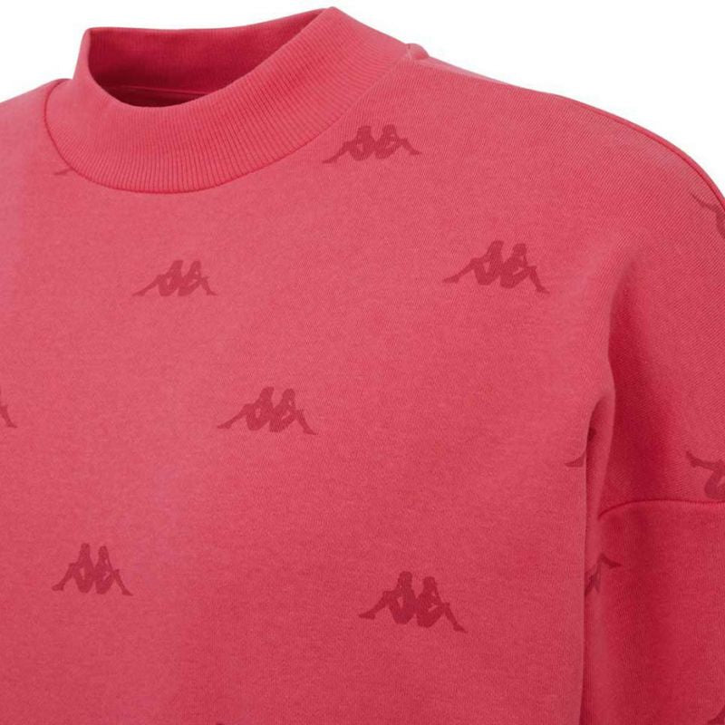 Kappa Ignara sweatshirt W 309091 18-2120 Clothing/Lifestyle/Kappa Kappa