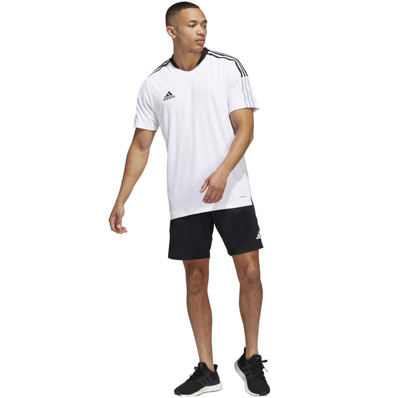 Shorts adidas Tiro 23 Competition M HL3923 Clothing/Football Adidas