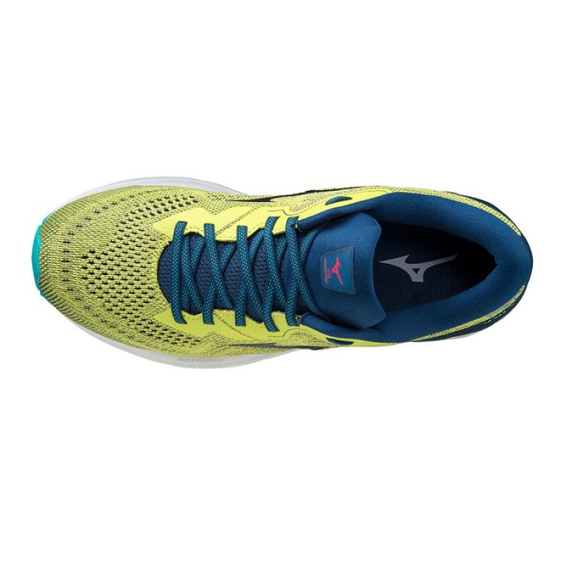 Mizuno Wave Skyrise 2 M J1GC210984 shoes Footwear/Running/Men Mizuno