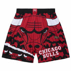 Mitchell & Ness NBA Chicago Bulls Jumbotron 2.0 Sublimated Shorts Obuwie/Buty na co dzień Your Sports Performance