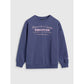 Oversized sweatshirt without a hood for girls 4F 4FJRAW25TSWSF2428-33S 4f