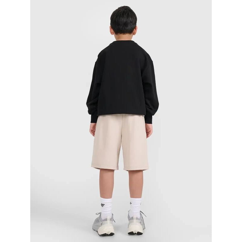 Boys' sweatpants 4F 4FJRSS25TSHOM684-83S 4f