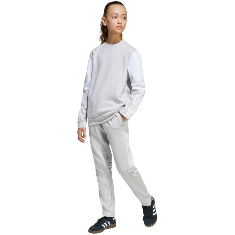 Adidas Squadra 25 Sweat Crew Jr JD4824 sweatshirt Clothing/Football Adidas