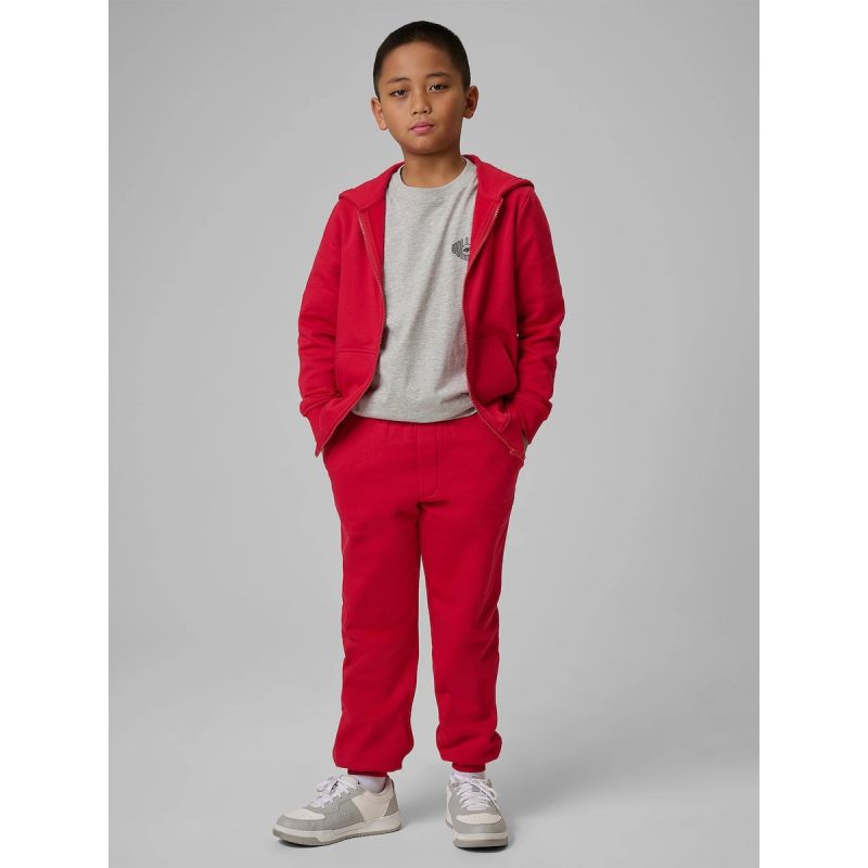Boy's regular hooded sweatshirt 4F 4FJRSS26TSWSM2749-62S 4f