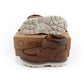 Skechers Jr 405672N/BRN shoes Footwear/Lifestyle/Skechers Skechers