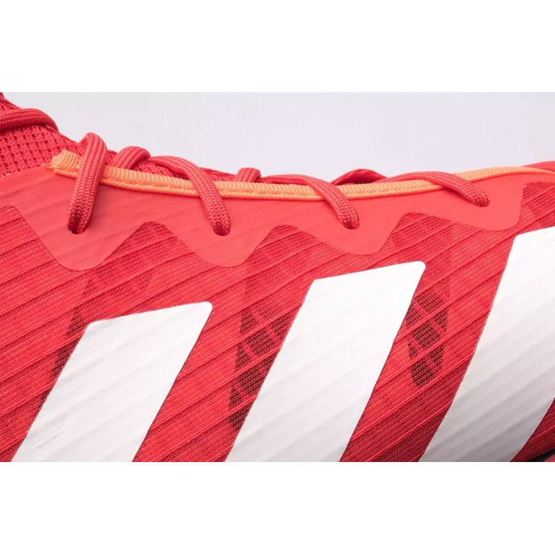 Boxing shoes adidas BOX HOG 4 M GW1403 Footwear/Training/Men Adidas