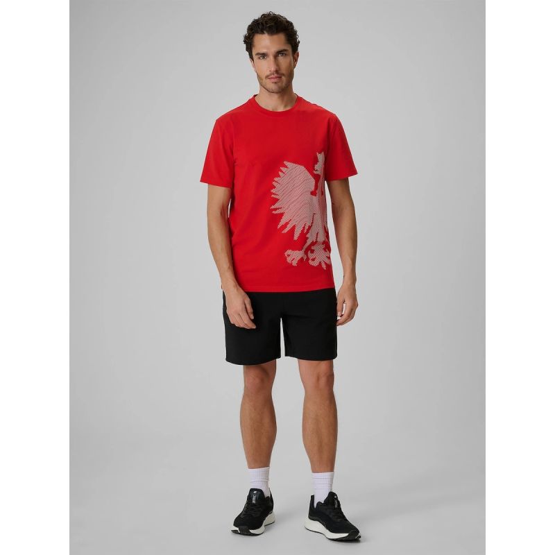 Men's cotton fan T-shirt 4F 4FRSS26TTSHM4200-62S