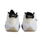 Nike Air Zoom Flight 95 Beige Basketball Shoes - DX5505-100 Nike