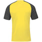 Joma Academy IV Sleeve football shirt 101968.901 Clothing/Football/Joma Joma