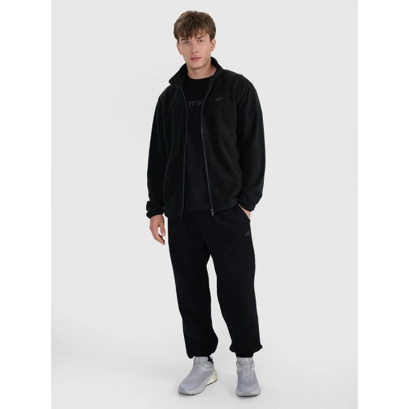 Regular fleece with stand-up collar men's 4F 4FRMM00TFLEM372-20S Clothing Your Sports Performance