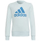 Sweatshirt adidas Big Logo Swt Jr HM8707 Clothing/Training Adidas