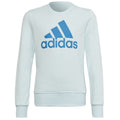 Sweatshirt adidas Big Logo Swt Jr HM8707 Clothing/Training Adidas