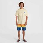 O'Neill Beach Graphic T-Shirt M 92800613972 ONeill