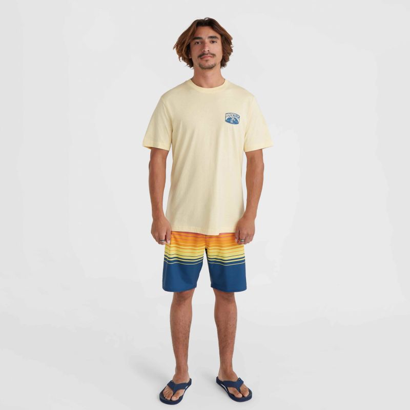 O'Neill Beach Graphic T-Shirt M 92800613972 ONeill