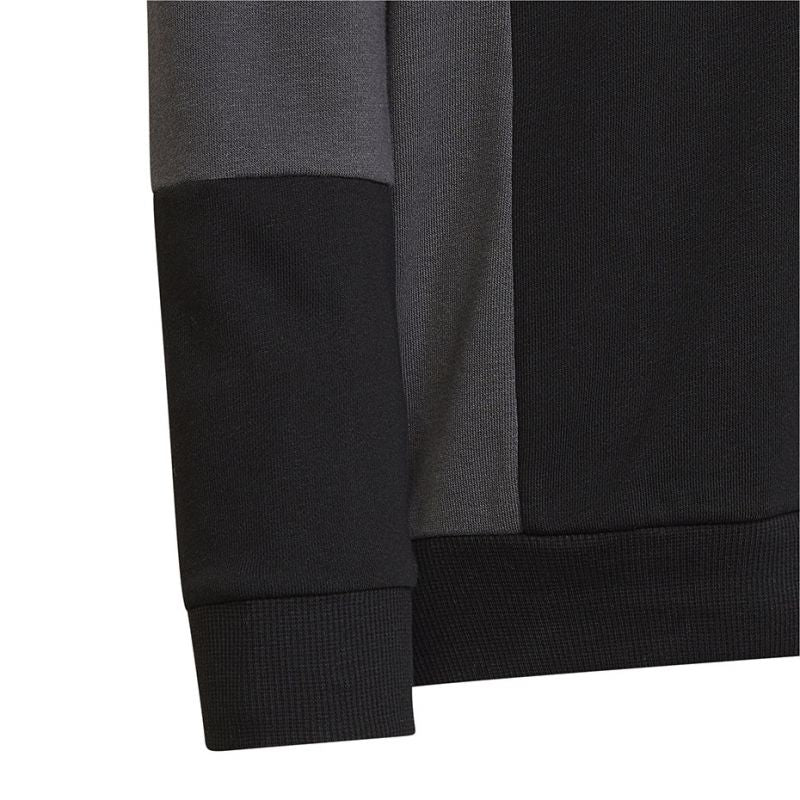 Adidas Colourblock Hoodie Jr HN8563 sweatshirt Clothing/Lifestyle Adidas