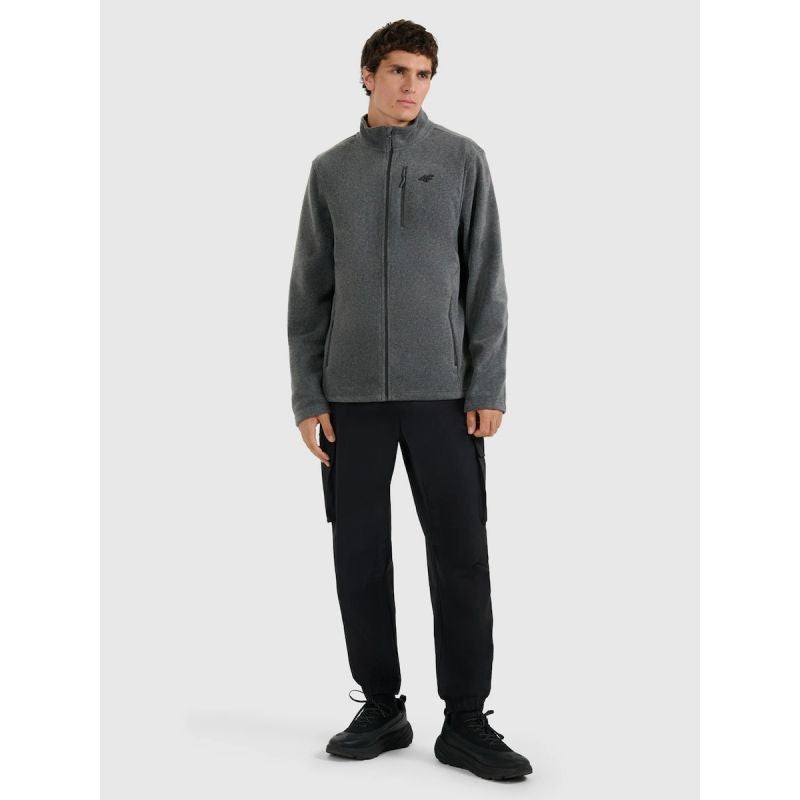 Men's Regular Fit Fleece Jacket with Stand-Up Collar 4F 4FRMM00TFLEM435-23M