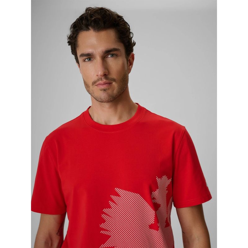 Men's cotton fan T-shirt 4F 4FRSS26TTSHM4200-62S