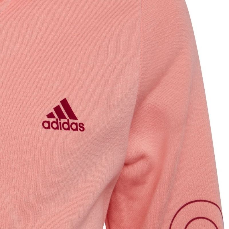 Adidas Jr HE1968 sweatshirt Clothing/Training Adidas
