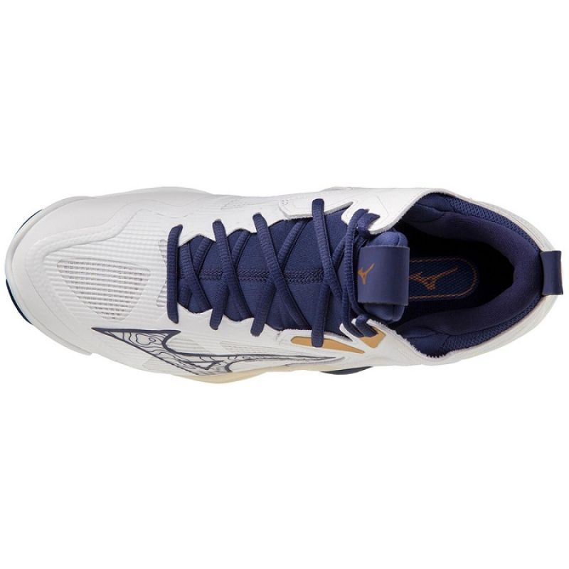 Mizuno Wave Momentum 3 MID M V1GA231743 volleyball shoes Footwear/Volleyball/Men Mizuno